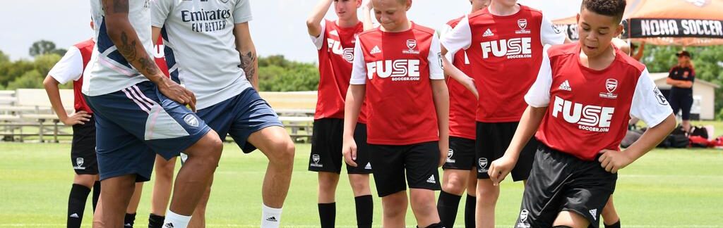 arsenalfuse
